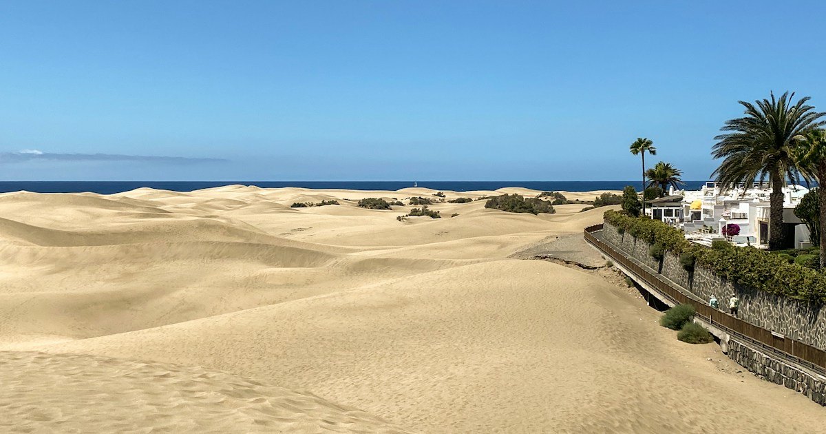Sandstrand og palmer ved Maspalomas på Gran Canaria